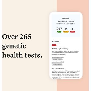 Wisdom Panel Premium Breed Identification & Health Condition Identification DNA Test for Dogs