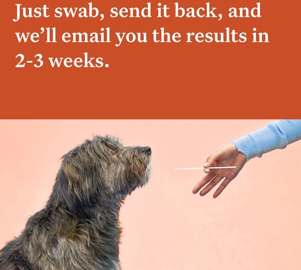 Show full view: Wisdom Panel Premium Breed Identification & Health Condition Identification DNA Test for Dogs slide 6 of 9
