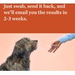 Show in main carousel: Wisdom Panel Premium Breed Identification & Health Condition Identification DNA Test for Dogs slide 6 of 9