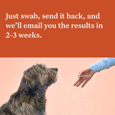 Show full view: Wisdom Panel Premium Breed Identification & Health Condition Identification DNA Test for Dogs slide 7 of 10