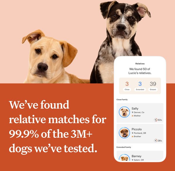 Show full view: Wisdom Panel Premium Breed Identification & Health Condition Identification DNA Test for Dogs slide 8 of 9