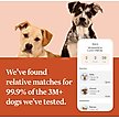 Show in main carousel: Wisdom Panel Premium Breed Identification & Health Condition Identification DNA Test for Dogs slide 8 of 9
