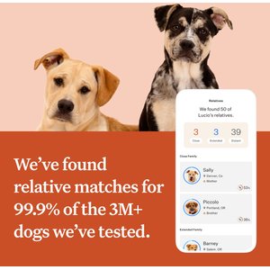Wisdom Panel Premium Breed Identification & Health Condition Identification DNA Test for Dogs