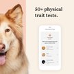 Show in main carousel: Wisdom Panel Premium Breed Identification & Health Condition Identification DNA Test for Dogs slide 5 of 9