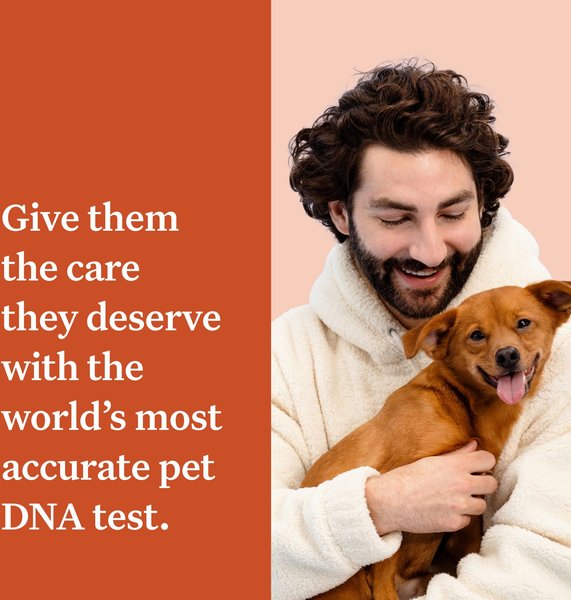 Show full view: Wisdom Panel Premium Breed Identification & Health Condition Identification DNA Test for Dogs slide 2 of 9