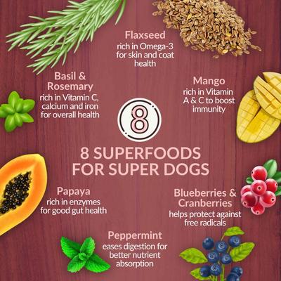 Show full view: Wishbone Graze New Zealand Whole Dog Health Adult Grain-Free Beef & Lamb Dry Dog Food, 4-lb bag slide 4 of 9