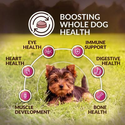 Show full view: Wishbone Graze New Zealand Whole Dog Health Adult Grain-Free Beef & Lamb Dry Dog Food, 4-lb bag slide 5 of 9