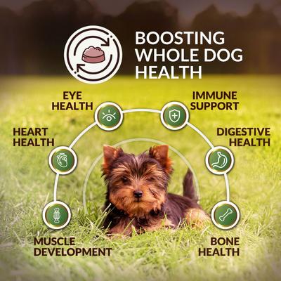 Show full view: Wishbone Pasture New Zealand Lamb Adult Grain-Free Dry Dog Food, 4-lb bag slide 5 of 8