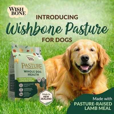 Show full view: Wishbone Pasture New Zealand Lamb Adult Grain-Free Dry Dog Food, 4-lb bag slide 3 of 8