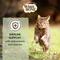 Show in main carousel: Wishbone Pasture New Zealand Lamb Grain-Free Complete Cat Health Dry Cat Food, 4-lb bag slide 7 of 11