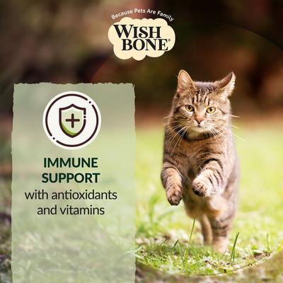 Show full view: Wishbone Pasture New Zealand Lamb Grain-Free Complete Cat Health Dry Cat Food, 4-lb bag slide 7 of 11