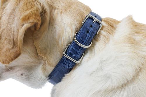 Show full view: W.Kleinberg The Lulu Embossed Crocodile Dog Collar, Iris, Large slide 4 of 6