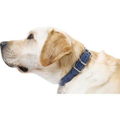 W.Kleinberg W.Kleinberg The Lulu Embossed Crocodile Dog Collar, Iris, X-Small