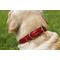 Show in main carousel: W.Kleinberg The Lulu Embossed Crocodile Dog Collar, Red, X-Small slide 5 of 6