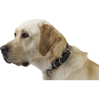 W.Kleinberg W.Kleinberg The Teddy Alligator Dog Collar, Black, Medium
