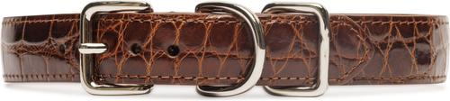 Show full view: W.Kleinberg The Teddy Alligator Dog Collar, Cognac, X-Large slide 3 of 6