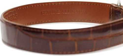 Show full view: W.Kleinberg The Teddy Alligator Dog Collar, Cognac, X-Large slide 5 of 6