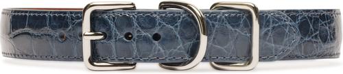 Show full view: W.Kleinberg The Teddy Alligator Dog Collar, Ocean Blue, X-Large slide 4 of 5
