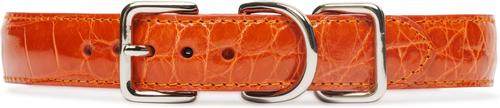 Show full view: W.Kleinberg The Teddy Alligator Dog Collar, Orange, X-Large slide 3 of 6