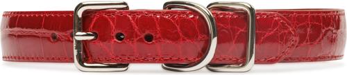 Show full view: W.Kleinberg The Teddy Alligator Dog Collar, Red, X-Small slide 4 of 5