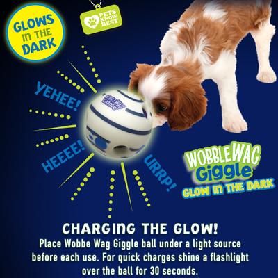 Show full view: Wobble Wag Giggle Ball Glow in the Dark Squeaky Dog Toy slide 4 of 8