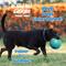 Show in main carousel: Wobble Wag Giggle Treat Dispensing Squeaky Ball Dog Toy, Blue slide 7 of 11