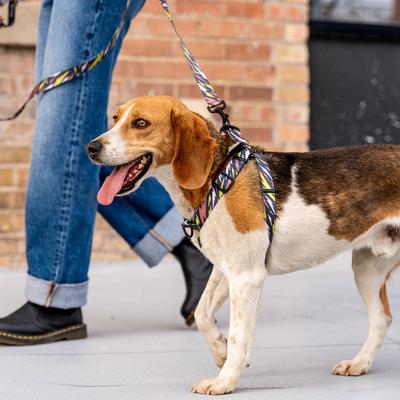 Show full view: Wolfgang CamoBolt Comfort No Pull Step In Back Clip Dog Harness, Large: 20 to 30-in chest slide 5 of 5