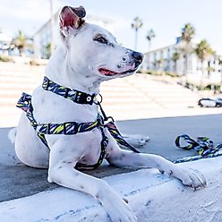 Wolfgang CamoBolt Comfort No Pull Step In Back Clip Dog Harness, Small: 12 to 18-in chest slide 2 of 3
