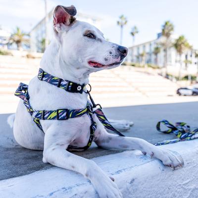 Show full view: Wolfgang CamoBolt Comfort No Pull Step In Back Clip Dog Harness, Small: 12 to 18-in chest slide 3 of 3