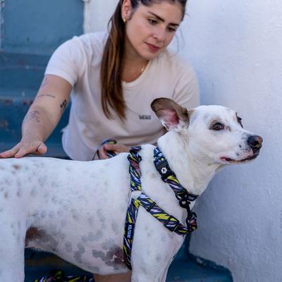 Show full view: Wolfgang CamoBolt Comfort No Pull Step In Back Clip Dog Harness, X-Large: 26 to 38-in chest slide 4 of 4