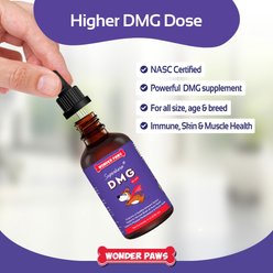 Wonder Paws DMG Support Immune Health Performance Liquid Supplement for Dogs, 4-fl oz bottle slide 2 of 9