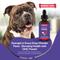 Show in main carousel: Wonder Paws DMG Support Immune Health Performance Liquid Supplement for Dogs, 4-fl oz bottle slide 7 of 10