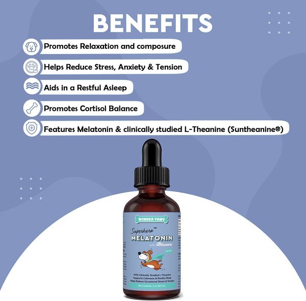 10 Best Melatonin Supplements for Dogs in 2026 - PangoVet