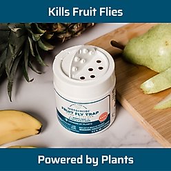 Wondercide Fruit Fly Home & Kitchen Trap, 5.4-fl oz bottle slide 2 of 7
