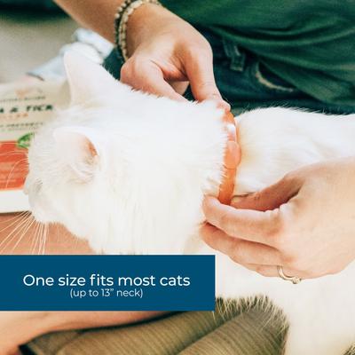 Show full view: Wondercide Natural Flea, Tick & Mosquito Repellent Cat Collar, Peppermint slide 3 of 8