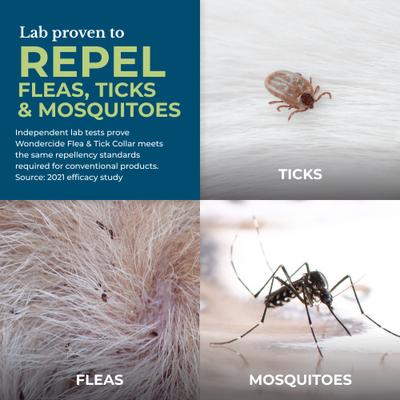 Show full view: Wondercide Natural Flea, Tick & Mosquito Repellent Small to Medium Dogs Collar, Peppermint slide 3 of 9