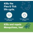 Show in main carousel: Wondercide Natural Flea, Tick & Mosquito Spray for Dogs & Cats, Rosemary, 16-fl oz bottle slide 3 of 11