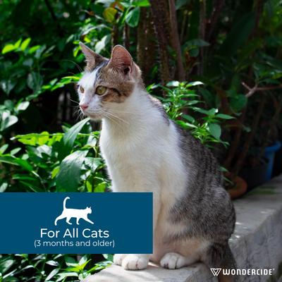 Show full view: Wondercide Spot-On Flea & Tick Repellent with Natural Essential Oils for Cats, Peppermint, 3 doses (3-month supply) slide 3 of 8