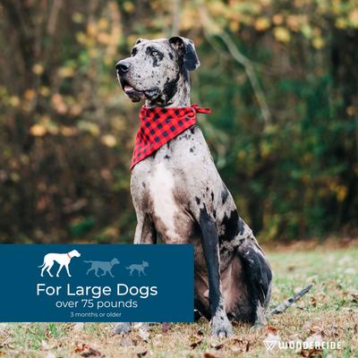 Show full view: Wondercide Spot-On Flea & Tick Repellent with Natural Essential Oils for Large Dogs, Peppermint, 3 doses (3-month supply) slide 4 of 9