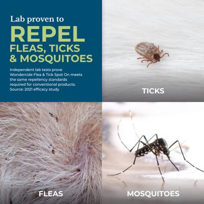 Show full view: Wondercide Spot-On Flea & Tick Repellent with Natural Essential Oils for Medium Dogs, Peppermint, 3 doses (3-month supply) slide 3 of 9