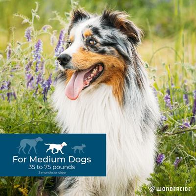 Show full view: Wondercide Spot-On Flea & Tick Repellent with Natural Essential Oils for Medium Dogs, Peppermint, 3 doses (3-month supply) slide 4 of 9