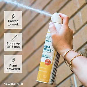 Wondercide Wasp + Hornet Porch & Patio Aerosol Spray, 10-fl oz bottle