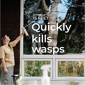Wondercide Wasp + Hornet Porch & Patio Aerosol Spray, 10-fl oz bottle