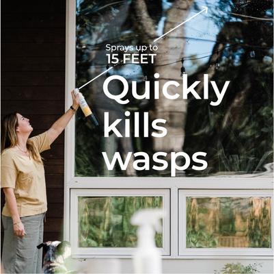 Show full view: Wondercide Wasp + Hornet Porch & Patio Aerosol Spray, 10-fl oz bottle slide 3 of 7