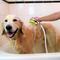 Show in main carousel: Wondurdog Bathtub Spout Dog Wash Kit slide 7 of 13
