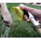 Show in main carousel: Wondurdog Dog Washing & Paw Rinse Outdoor Garden Hose Nozzle Attachment slide 8 of 11