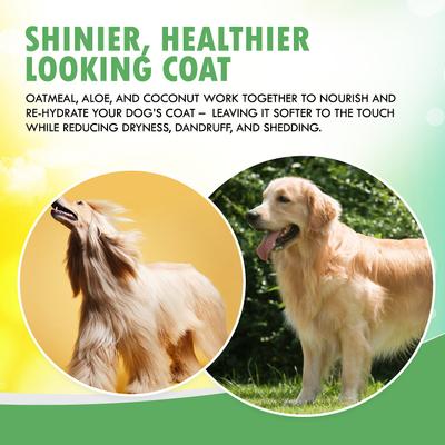 Show full view: Wondurdog Fur Foam Dog Shampoo, 16.9-fl oz bottle slide 6 of 9