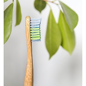 Woobamboo Large Breed Dog Toothbrush