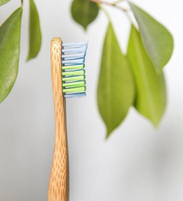 Show full view: Woobamboo Large Breed Dog Toothbrush slide 8 of 11