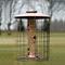 Show in main carousel: Woodlink Brushed Copper Caged 6-Port Tube Wild Bird Feeder, 1.25-lb slide 2 of 3